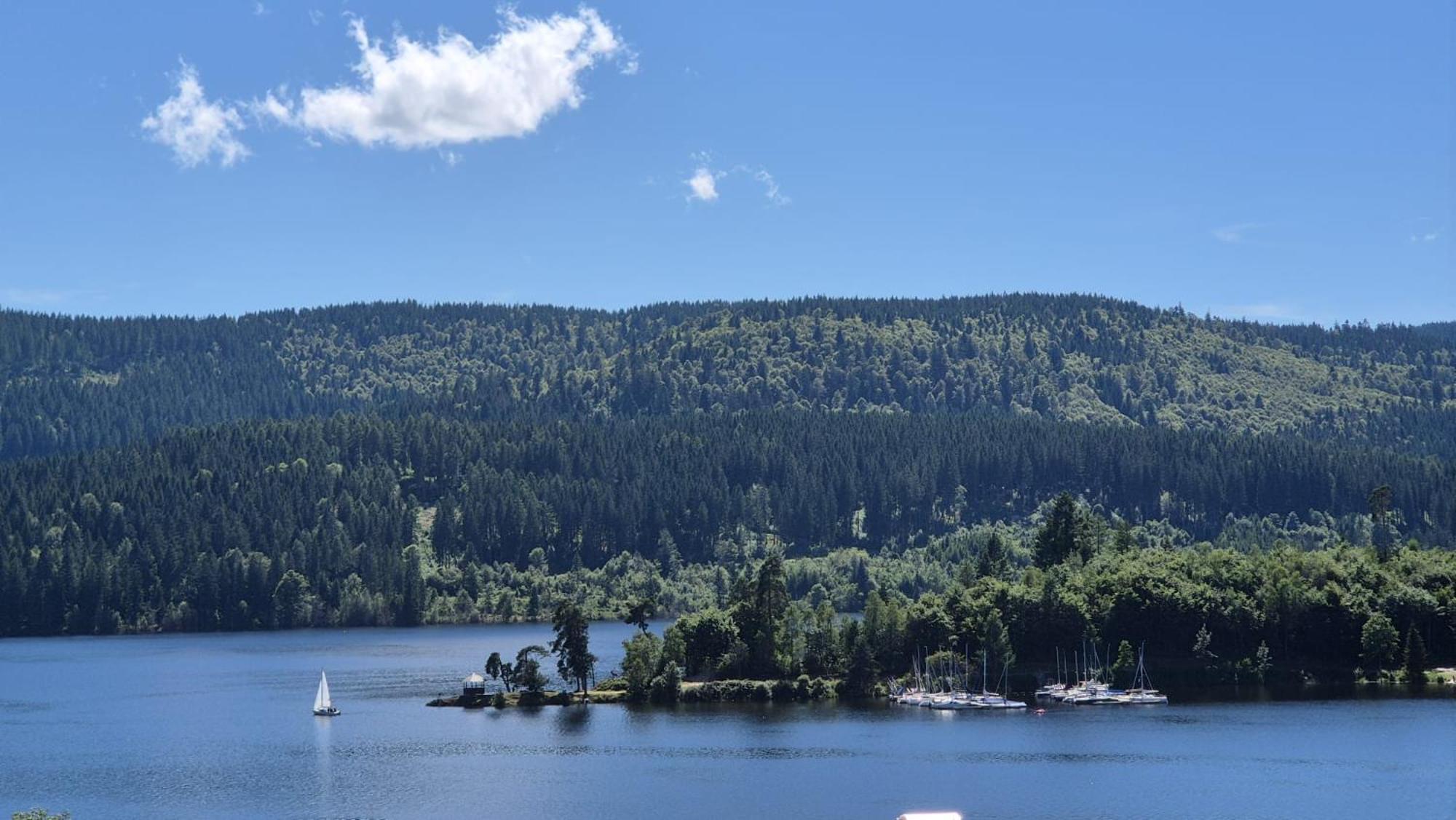 Chalet Schluchsee Ferienwohnung Buitenkant foto