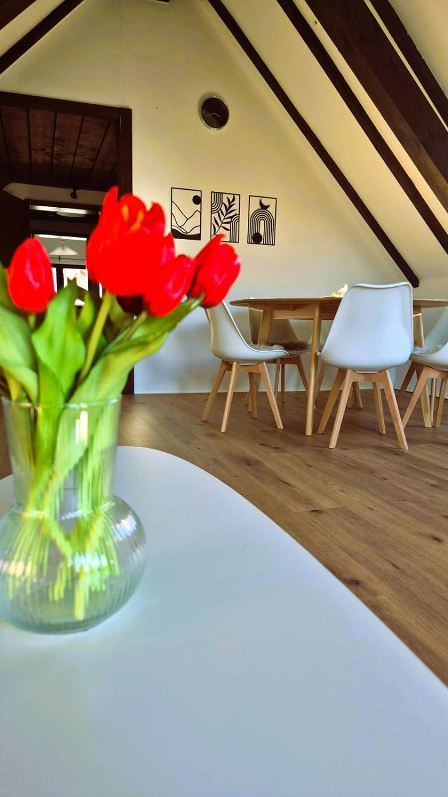 Chalet Schluchsee Ferienwohnung Buitenkant foto