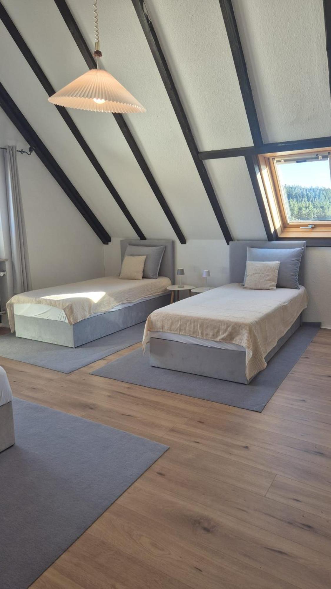 Chalet Schluchsee Ferienwohnung Buitenkant foto